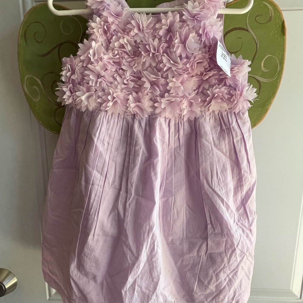 Toddler Girl Gap Dress